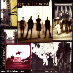 Hootie & The Blowfish - Cracked Rear View (180g 45RPM 2LP)