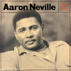 Aaron Neville - Warm Your Heart  (45 RPM 180 Gram)