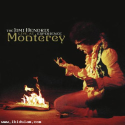 Jimi Hendrix - Live At Monterey  (150 Gram)