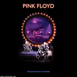 Pink Floyd - Delicate Sound Of Thunder (180g Vinyl 3LP slip case)