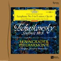 Tchaikovsky - Symphony No. 5: Evgeny Mravinsky (180g Vinyl LP)